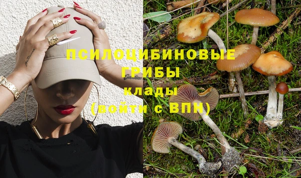 spice Белоозёрский
