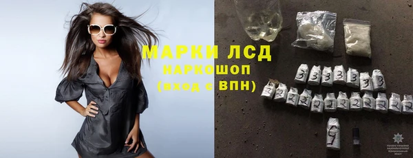 гидропоника Белокуриха
