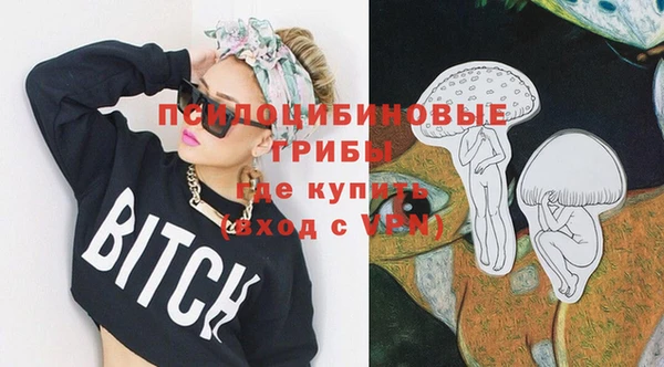 гидропоника Белокуриха