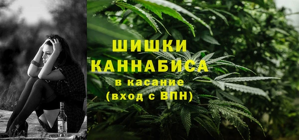 сатива Богородицк