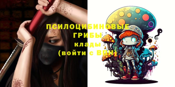 гидропоника Белокуриха