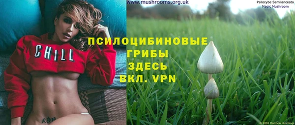 гидропоника Белокуриха