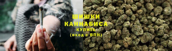 гидропоника Белокуриха