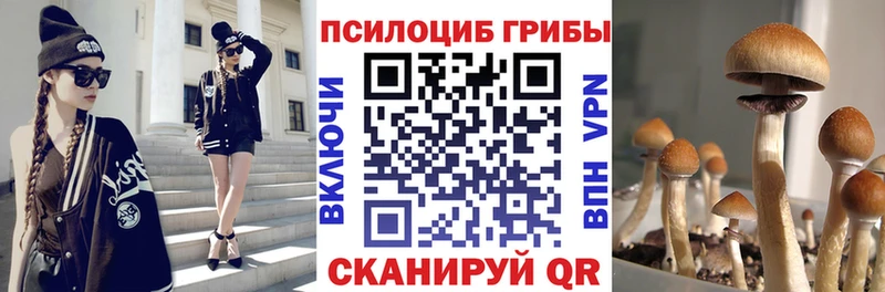 Галлюциногенные грибы GOLDEN TEACHER Купить Первомайск